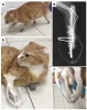 Первый в мире опыт чрескожного остеоинтегрируемого протезирования грудных и тазовых конечностей у кошки после перенесенной частичной ампутации. Клинический случай