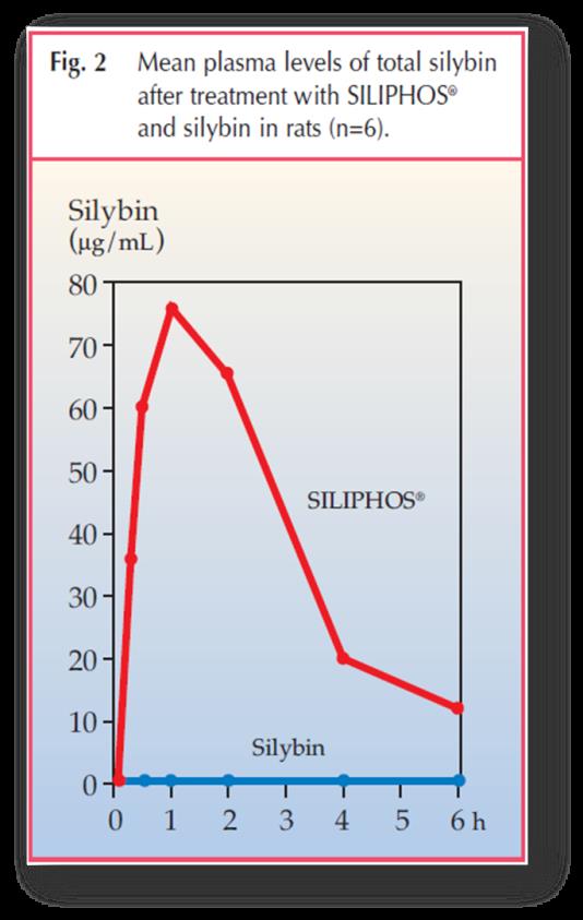 Плазматические уровни общего силибина (мкг/мл) у крыс после приема СИЛИФОСа и силибина