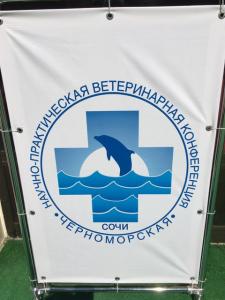Конференция у Черного моря